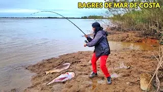 SEÑORA PESCA EN EL RÍO PARANÁ GUAZÚ, TE MUESTRO UN LUGAR CON BAGRES DE MAR