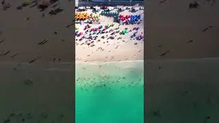 Será que doeu ? #shortvideo #viral