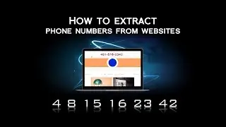 How to extract phone numbers from websites?