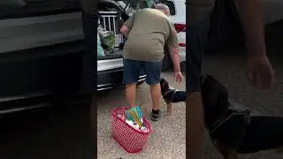 Уезжаем 🐕‍🦺🥲👋