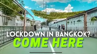 GREEN MILE BANGKOK | Walking from Lumphini to Benjakitti