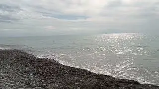 16 октября 2024 г.