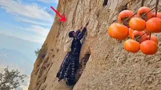 Brave Mother Risks Everything for Wild Persimmons | A Story of Survival in the Zagros Mountains 😱😱