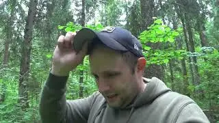 Как мы чешую собирали. В поисках золота.