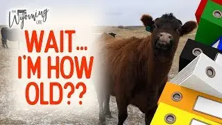 Ranch Record Keeping - The How and Why