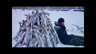 #22 Необычные случаи на рыбалке!