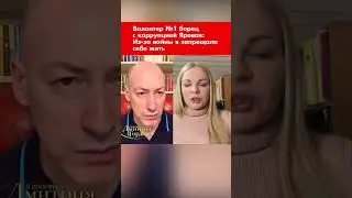 Волонтер №1 борец с коррупцией Яровая: Из-за войны я запрещала себе жить 