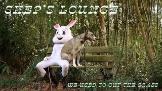 We Used to Cut the Grass - Shep's Lounge (Official Music Video)