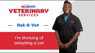 What To Know and Do When Adopting A Cat | PetSmart Veterinary Services