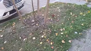 Армада Воробьёв