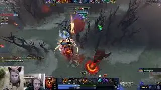 Dyrachyo New Meta SF Roamer