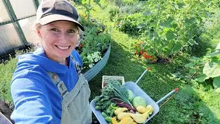 Something I’ve Never Grown or Made | Harvest to Table
