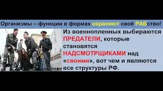 НЕВЕЖЕСТВО = Палицайский беспредел в Москве!