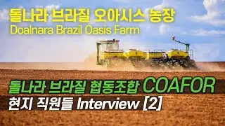 돌나라 브라질 협동조합 COAFOR 현지 직원들 인터뷰 [2] 돌나라 브라질 오아시스 농장 #doalnara #돌나라 #오아시스