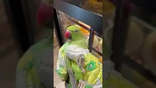 Ну вот и поймал хулигана 😀😀
