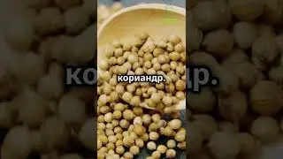 Как избежать кладоспориоза  #сад #огород #дача #кладоспориоз