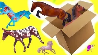 Box