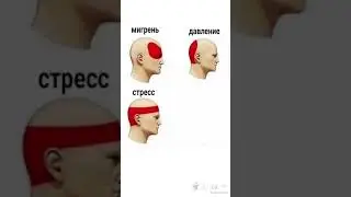 8 ноября 2021 г.