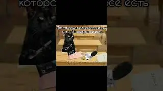 немного не под звук #cat #funny #capcut #memes #inshot #cute