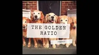 Episode 368. Saddle Up