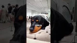 ¡El Perro Que Nadie Se Atreve A Desafiar! 😱