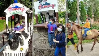 REIHAN KE CIMORY NAIK ODONG ODONG KERETA SAPI,  NAIK KUDA DAN JALAN JALAN