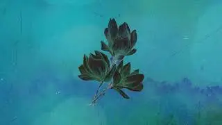 Loci Records - Season Four - Murge DJ Mix