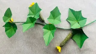 How to make Paper Leaf vine  DIY | How to Make CUCUMBER🥒 Leaf vine at Home🌿
