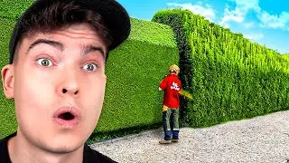 World's Most Satisfying Workers