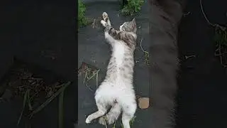 нажми два раза на экран❤❤