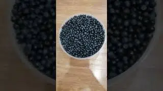 черника свежая 6л.