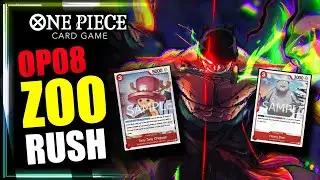 OP08 Zoro RUSH Deck | Dangerous Animals | One Piece TCG