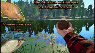 🎣 ЭТО ЛУЧШАЯ ТОЧКА ДЛЯ ФАРМА ЛЕЩА В РР4 🎣 ПОЙМАЛ ТРОФЕЯ? 🎣 ОЗ. СТАРЫЙ ОСТРОГ
