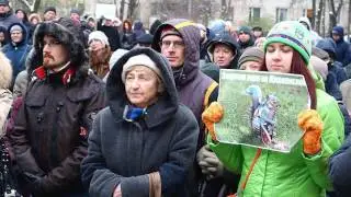 Дети против застройки