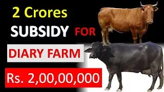 Central Government Subsidy Scheme for Diary Farms|#NDDB Scheme|How to get subsidy for dairy farm|