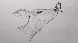 easy deer playing with butterfly drawing tutorial || how to draw deer || Drawing deer step by step