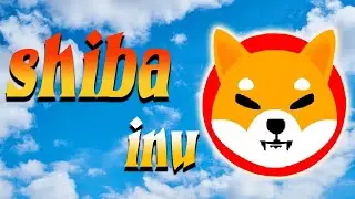 Le metaverse du shiba arrive !