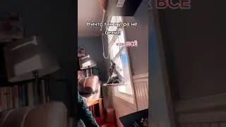 😂 НИЧТО ТАК С УТРА НЕ БЕСИТ, КАК ВСЁ 😂