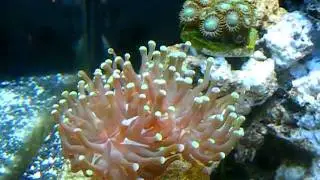 DSCF5208
