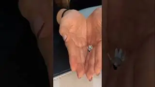 Giantess Gabriella Hand squish 