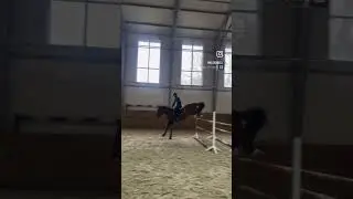 Женя и Серпантин работают 