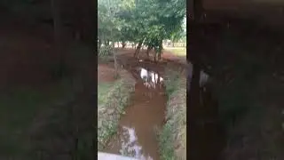 De manhã no parque Ipiranga Anápolis Goiás