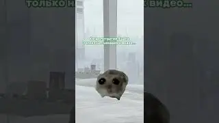 А что теперь можно не писать идеи для рилс самим?