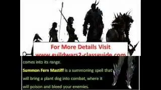 Guild Wars 2 - The Five Races of Tyria