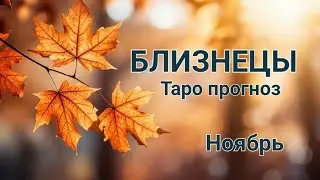 БЛИЗНЕЦЫ🌈 Таро прогноз🌛Ноябрь 2024