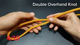 The 10 Best Common Nooses For You