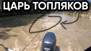 Топляк всех топляков. Течение прибило чудо.