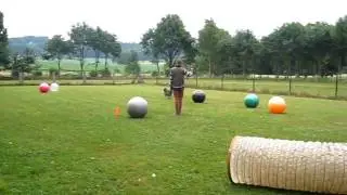 Batida Treibball