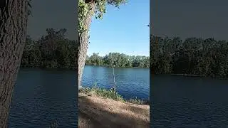 а говорят утро добрым не бывает