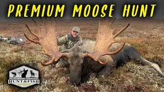 Pro Membership Sweepstakes Drawing for Premium Moose Hunt